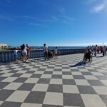 Corteo Disability Pride Toscana, Terrazza Mascagni - Livorno